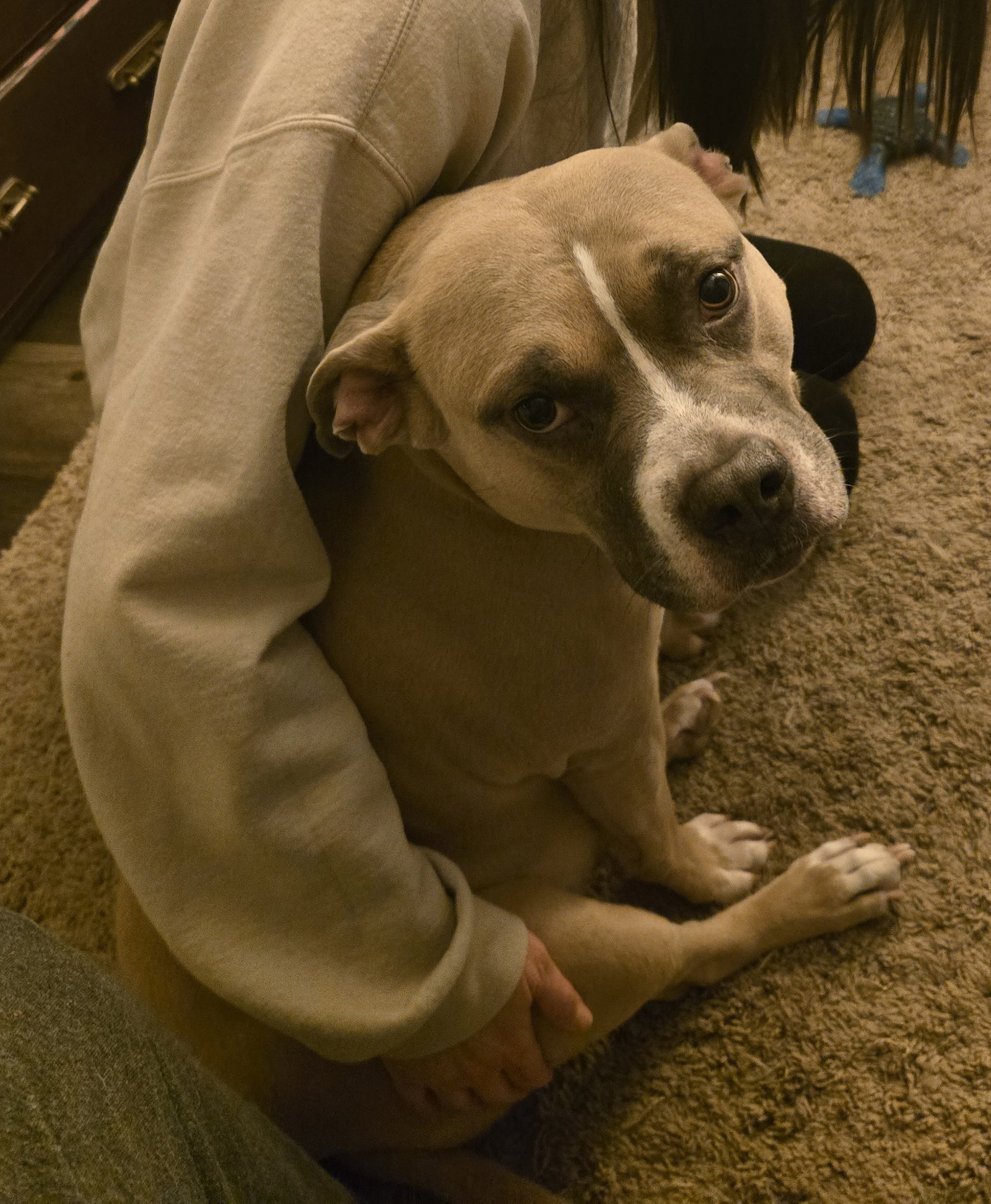 Freya and Luna, photo 8