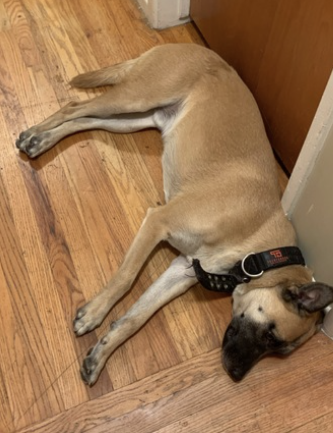 Diesel, photo 9