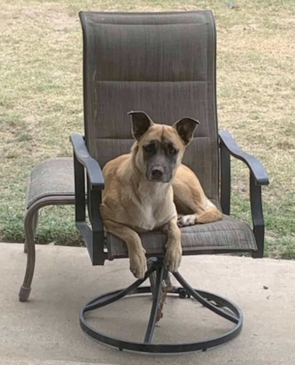 Diesel, photo 10
