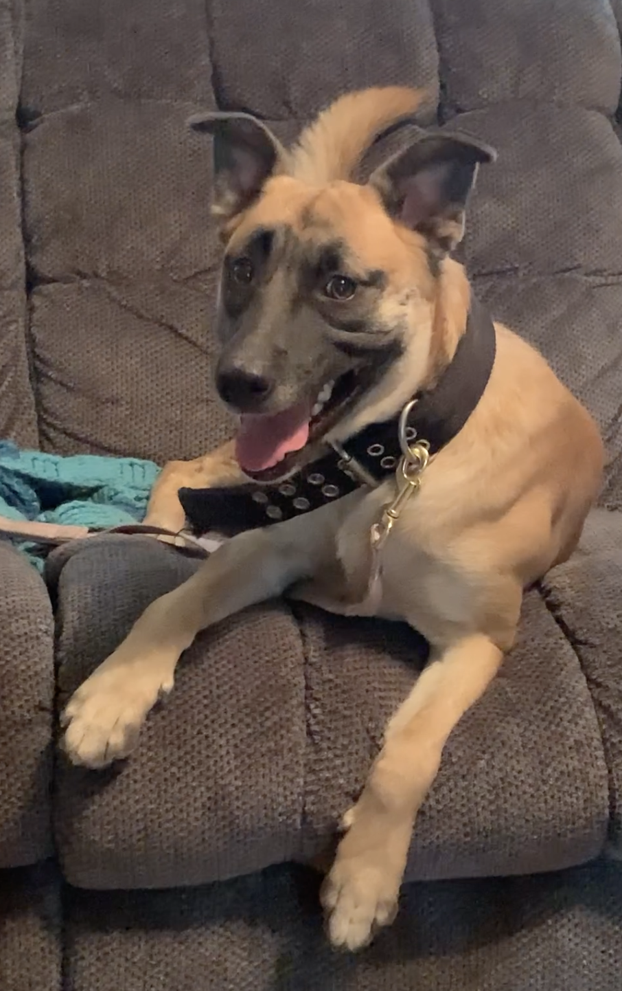 Diesel, photo 2
