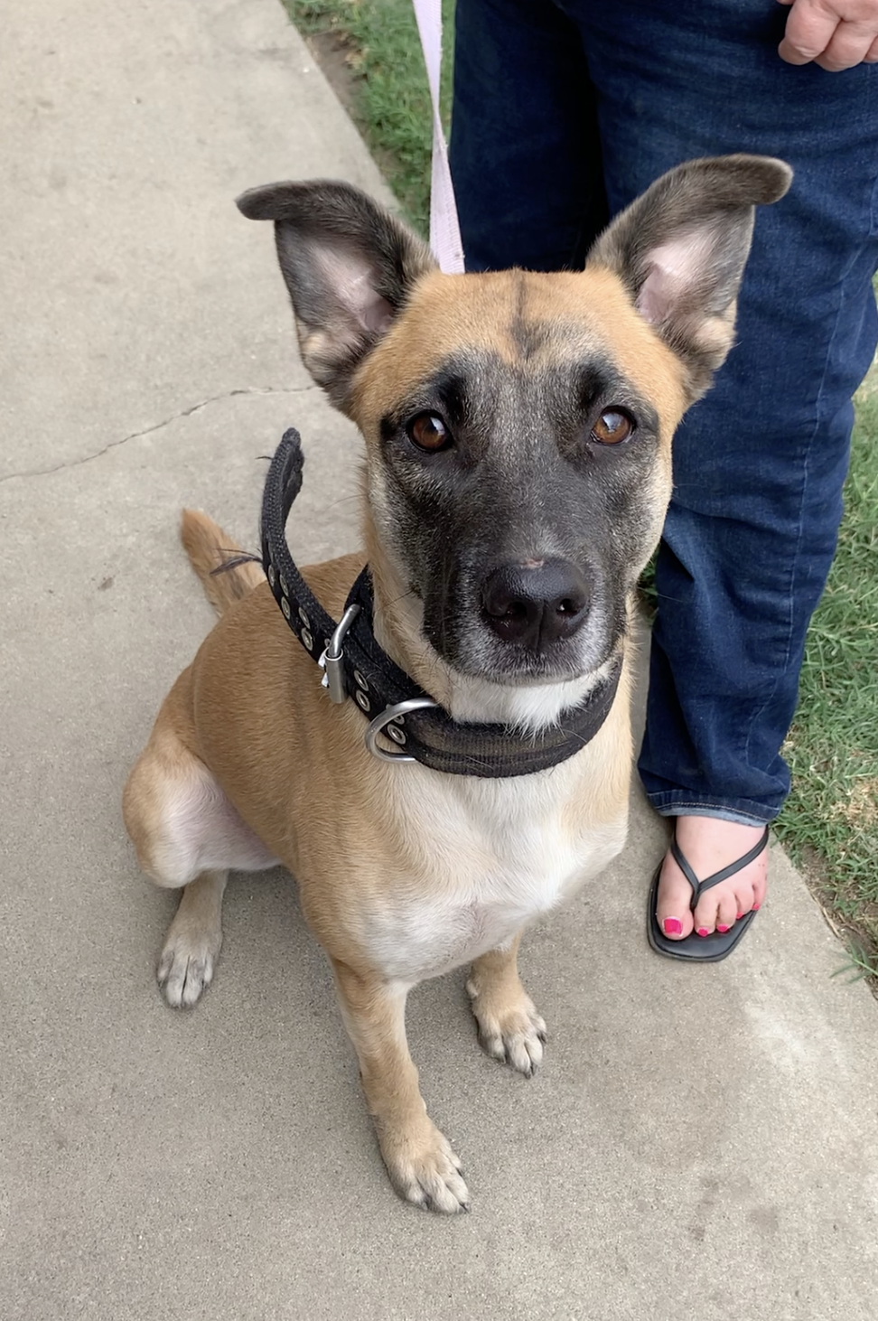 Diesel, photo 11
