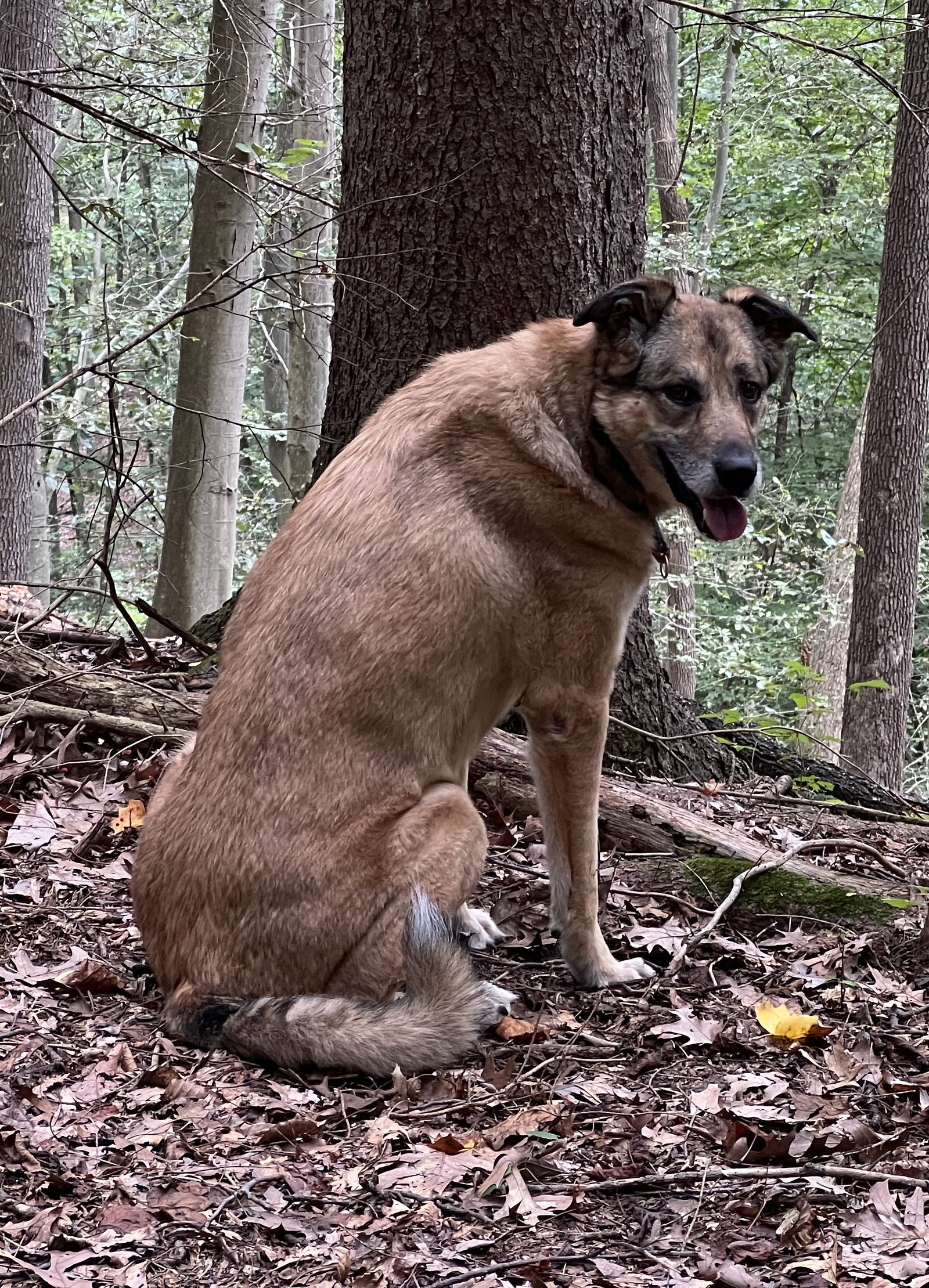 Freya, photo 8