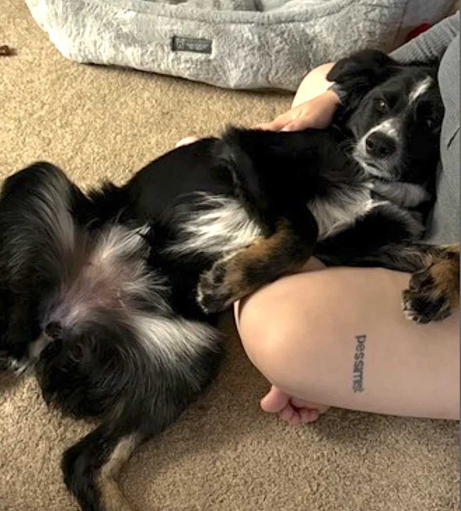 Millie image 2
