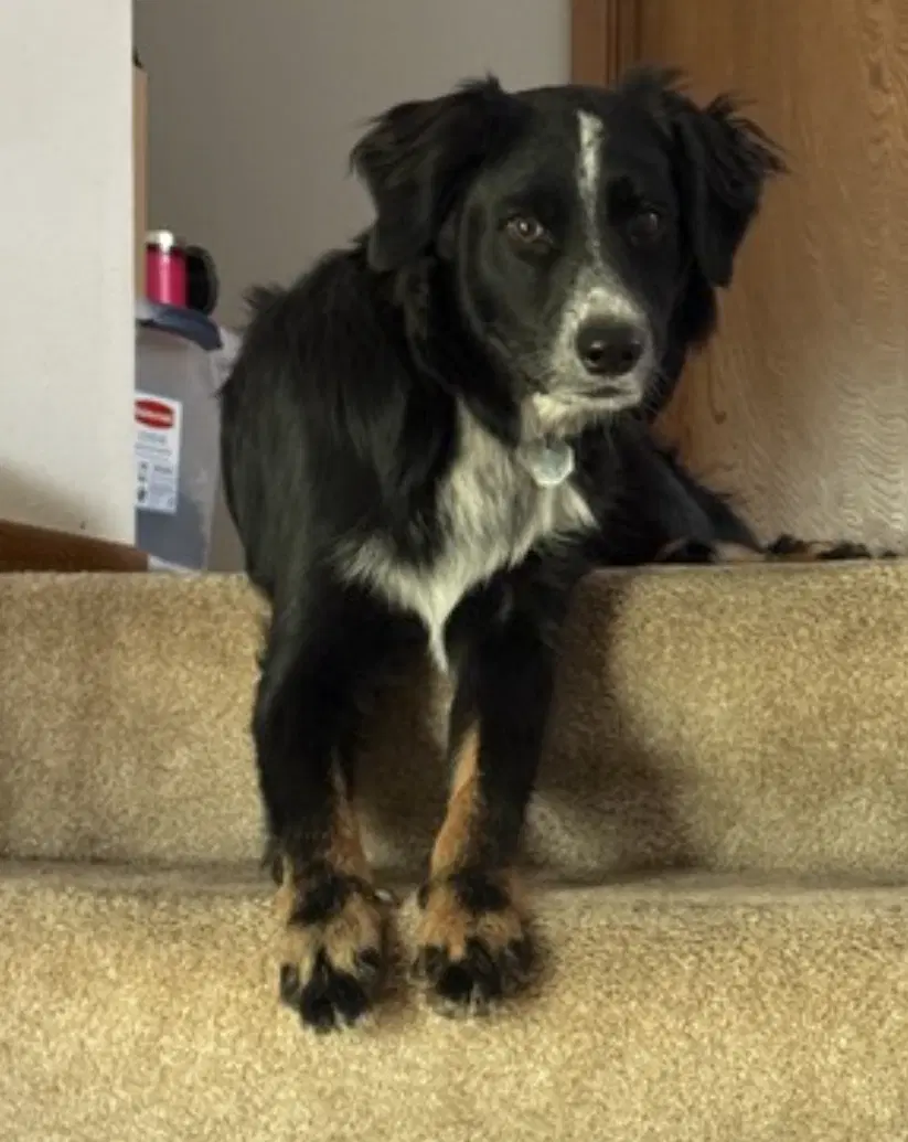 Millie image 4
