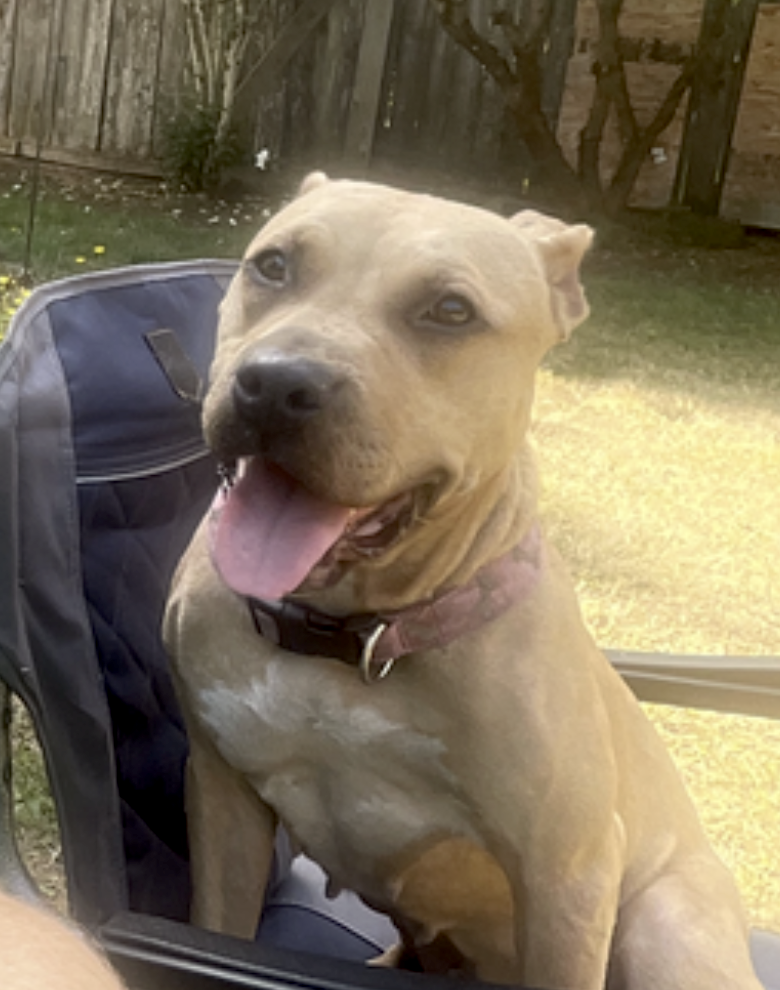 Fiona, photo 12