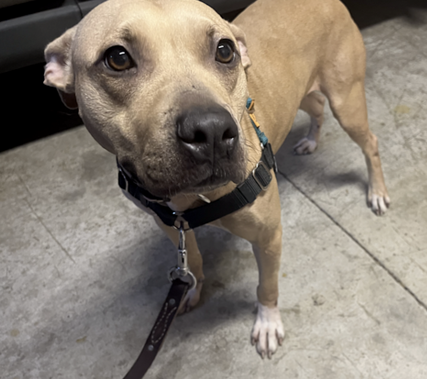 Fiona, photo 14