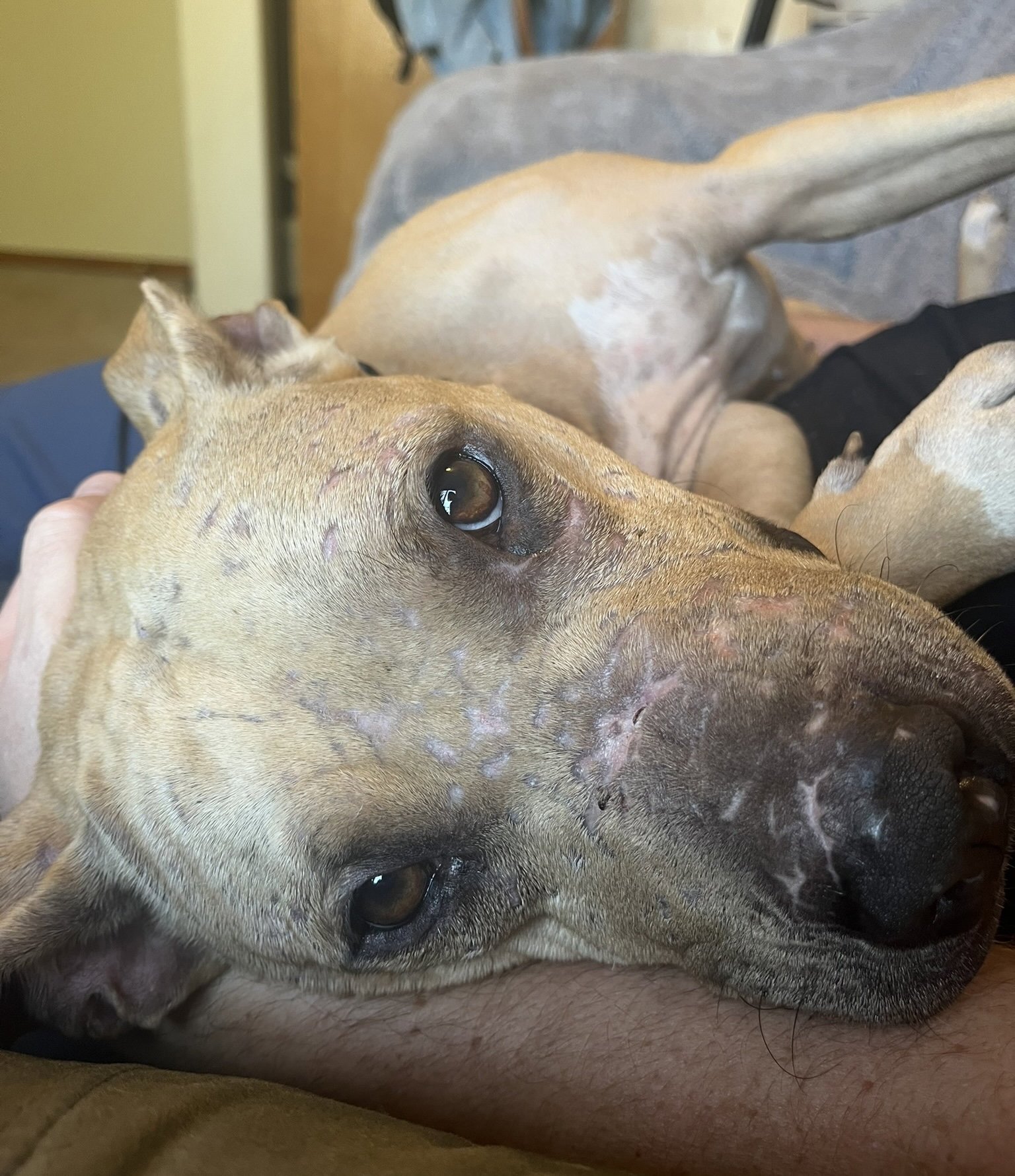Fiona, photo 3