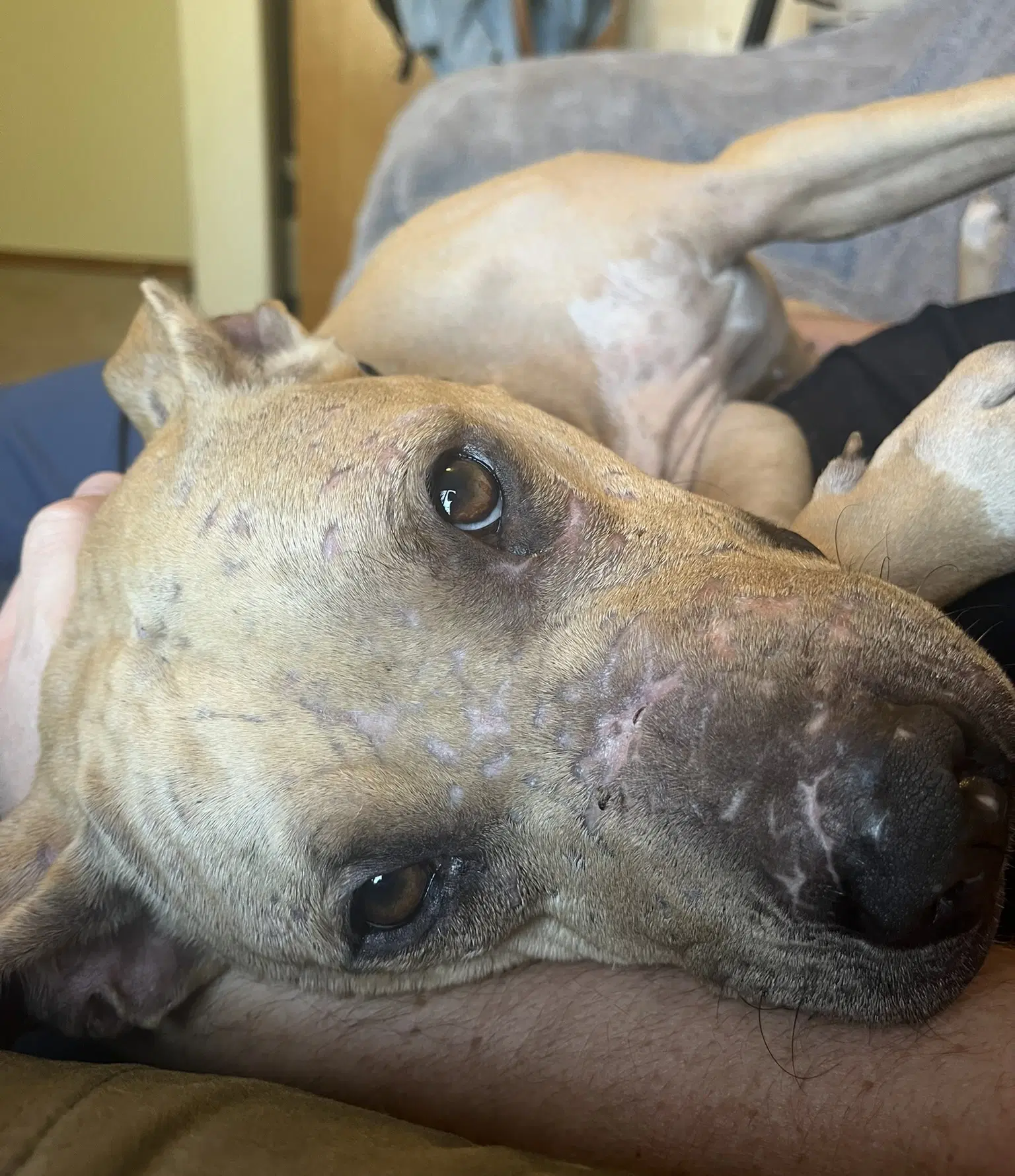 Fiona image 3