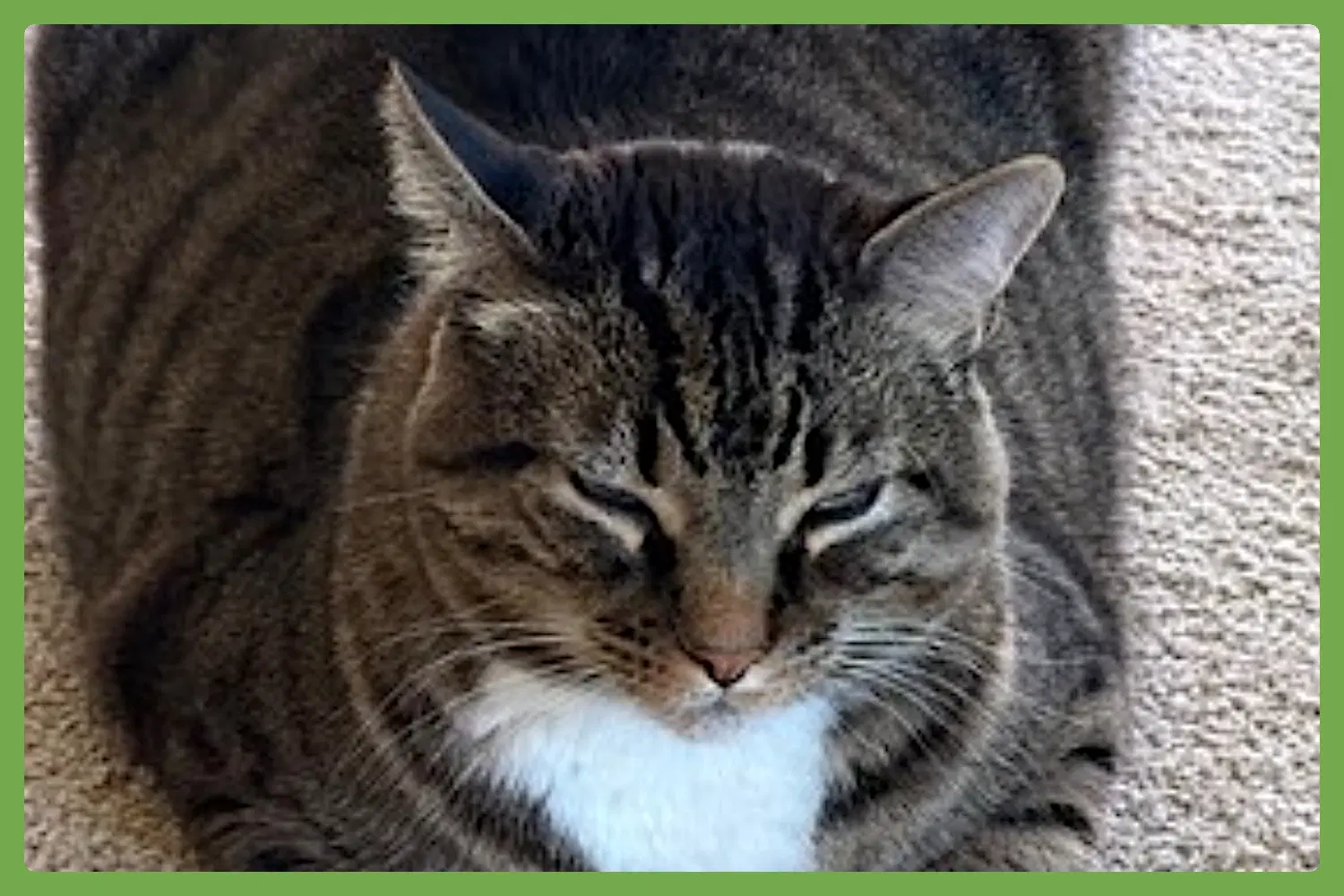 Benny image 1