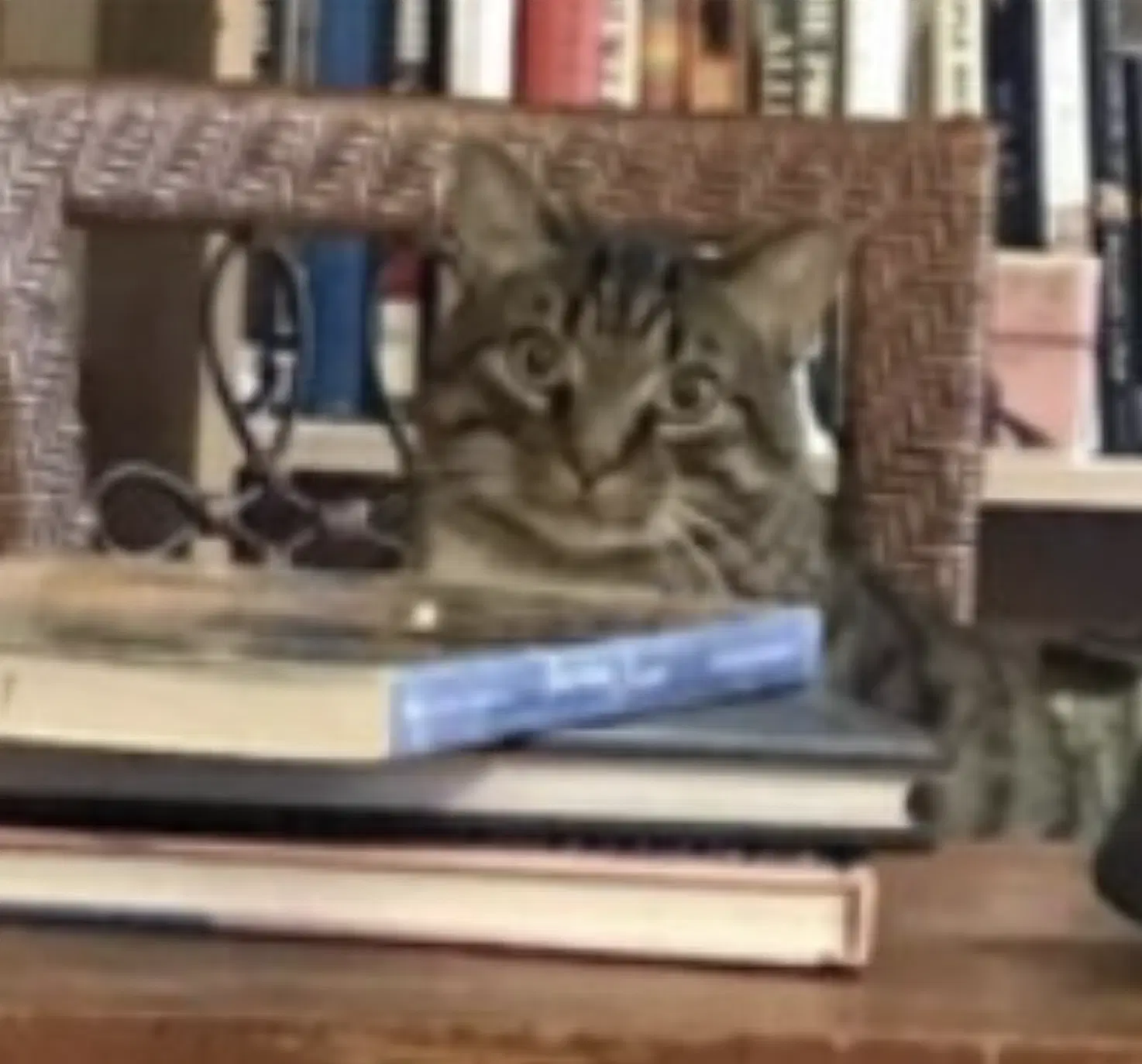 Benny image 4