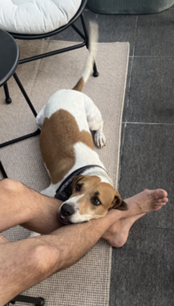Woody, photo 9