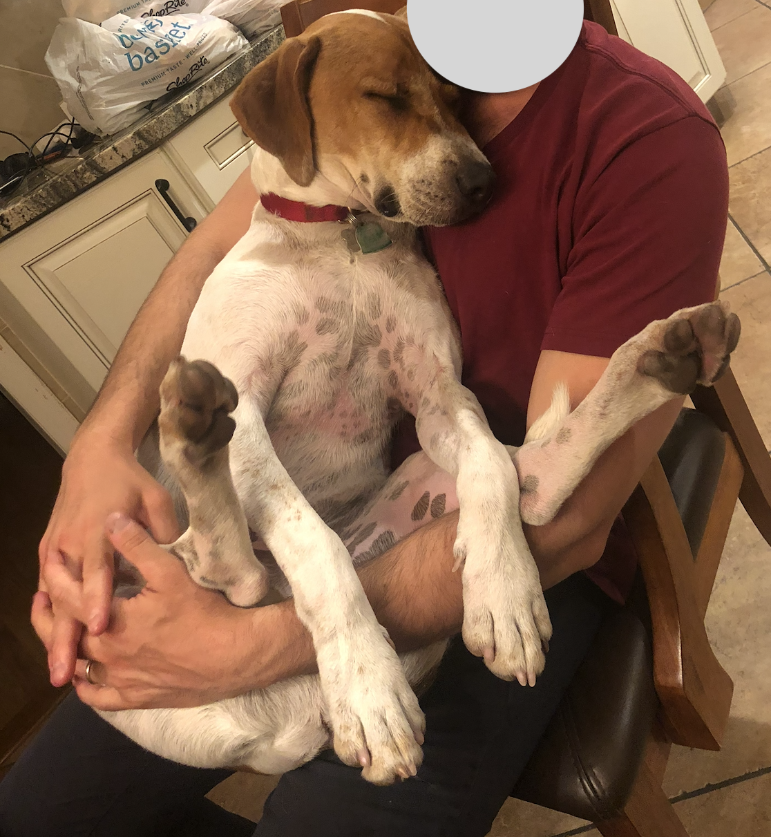 Woody, photo 2