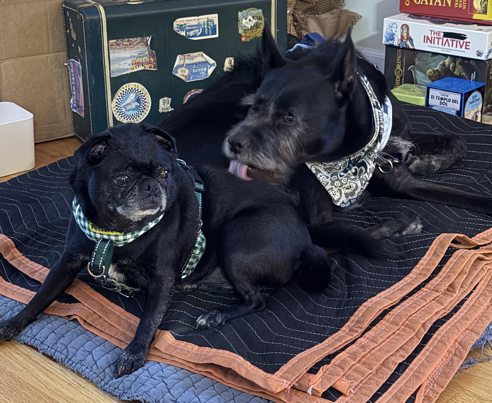 Alamo and Margo, photo 2