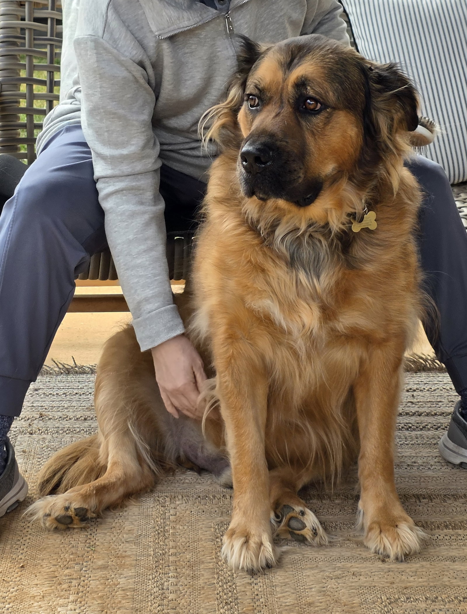 Beau, photo 3