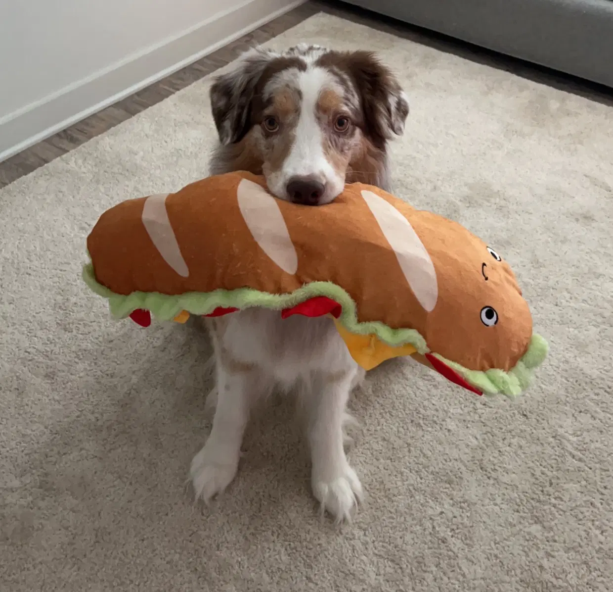 Cooper image 4