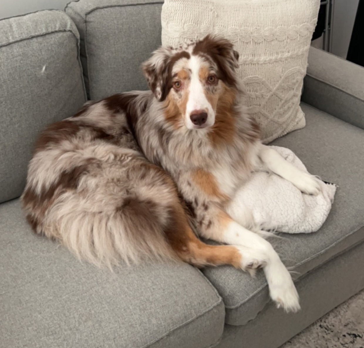 Cooper, photo 5