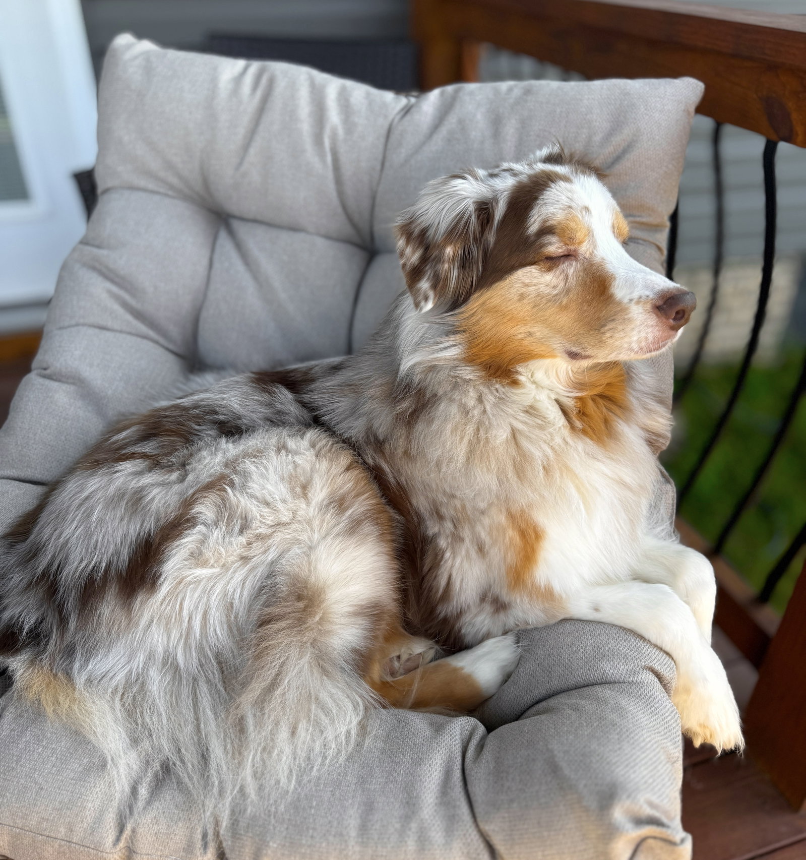 Cooper, photo 10