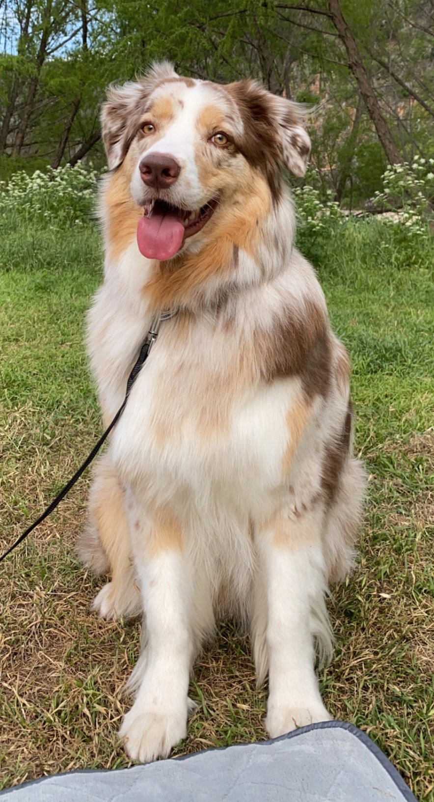 Cooper, photo 11