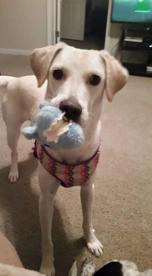 Sophie