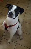 Boudreaux