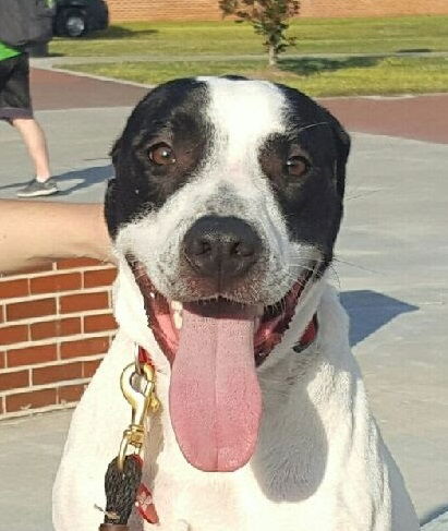 Boudreaux