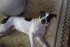 Boudreaux