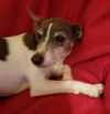 Silvi, now Iggy