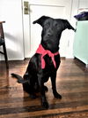 Breaux (now Miles)
