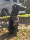 Breaux (now Miles)