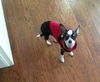 Emmit