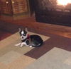 Emmit