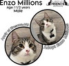 Enzo Millions - Photo 1