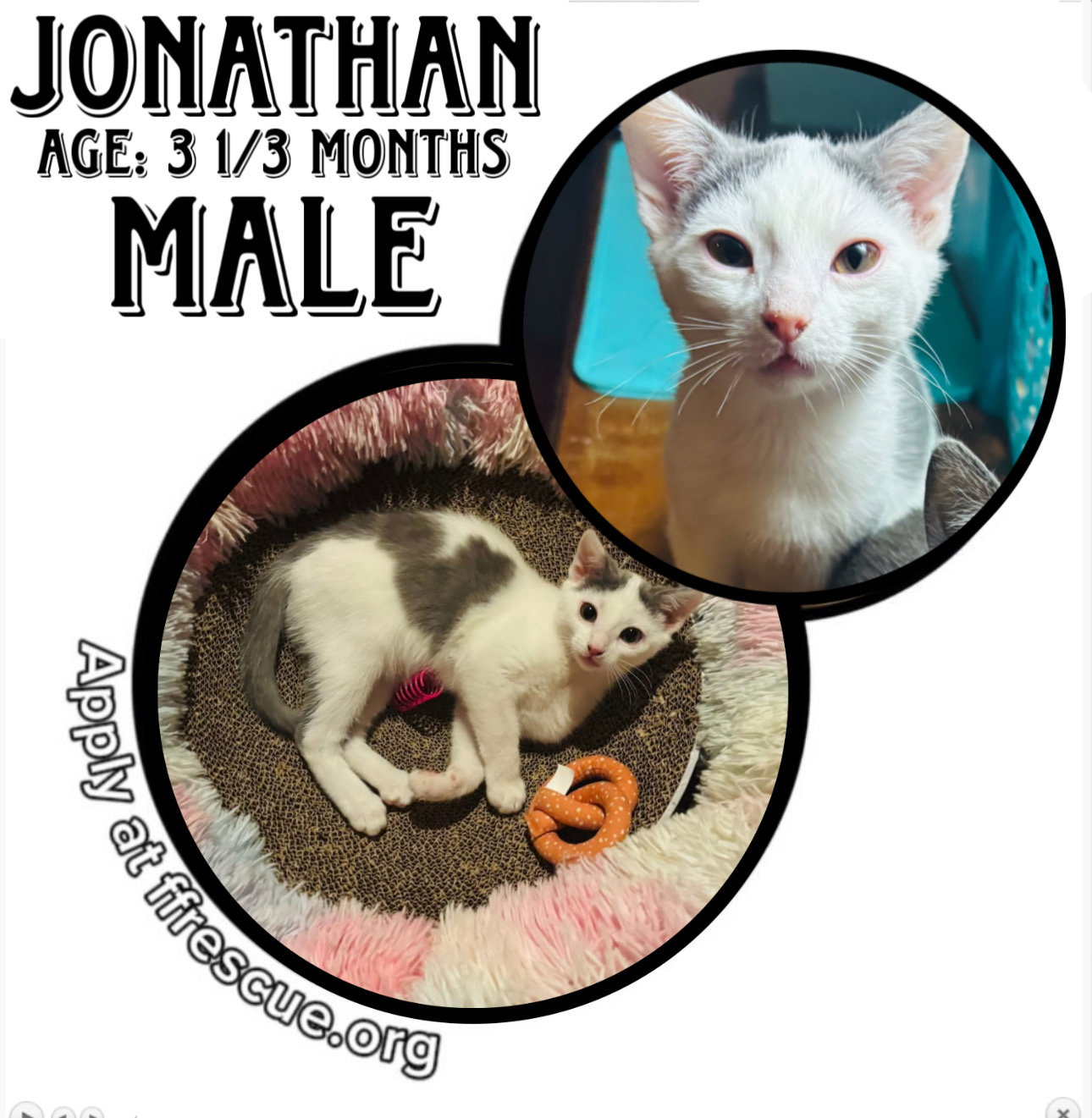 Johnathan