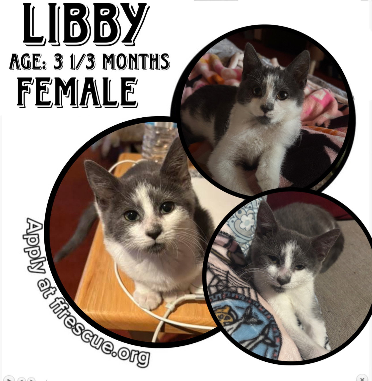 Libby