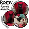 Romy - Photo 1