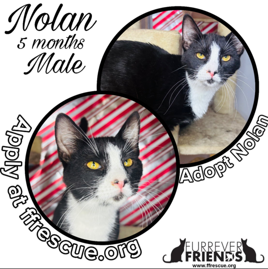 Nolan