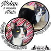 Nolan - Photo 1