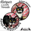 Harper - Photo 1
