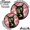 Nune - Photo 1