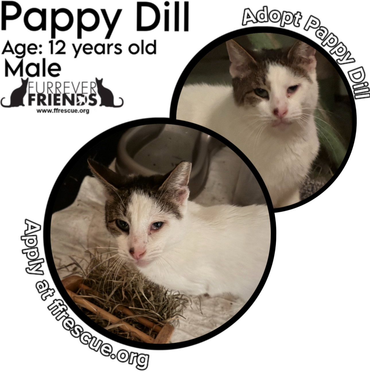 Pappy Dill