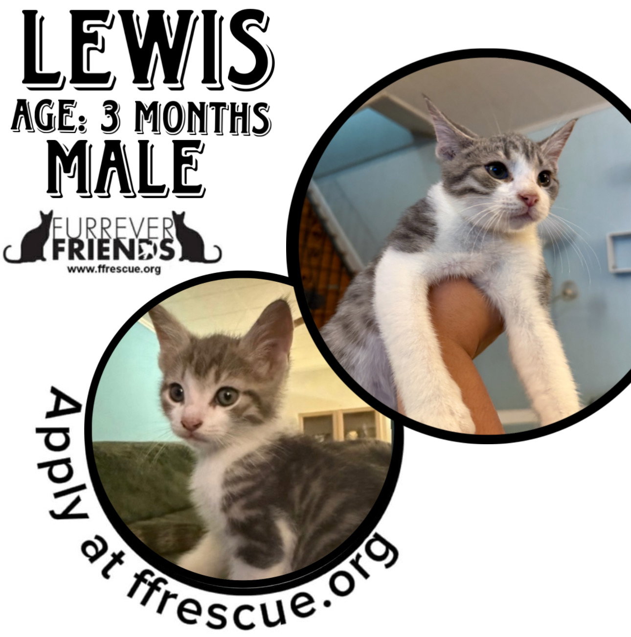Lewis