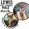 Lewis - Photo 1