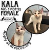 Kala - Photo 1