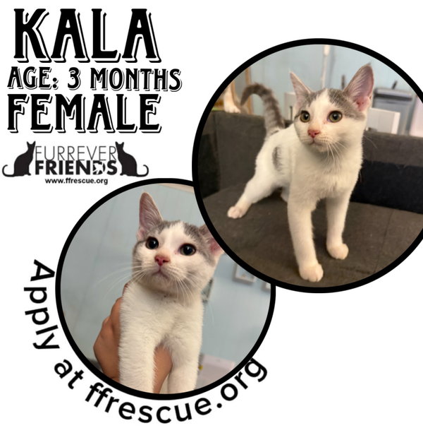 Kala