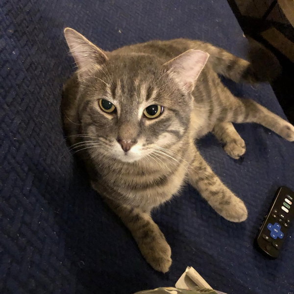 Opie
