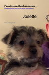 Josette