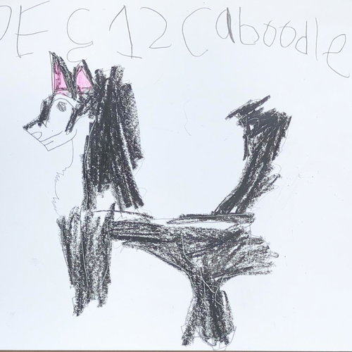Caboodle — thumbnail 8