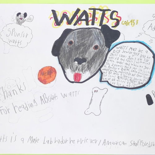 Watts, photo 5