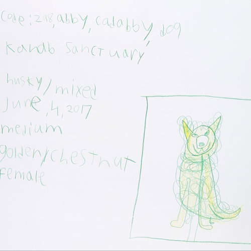 Abby Cadabby — thumbnail 17