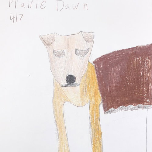 Prairie Dawn — thumbnail 10